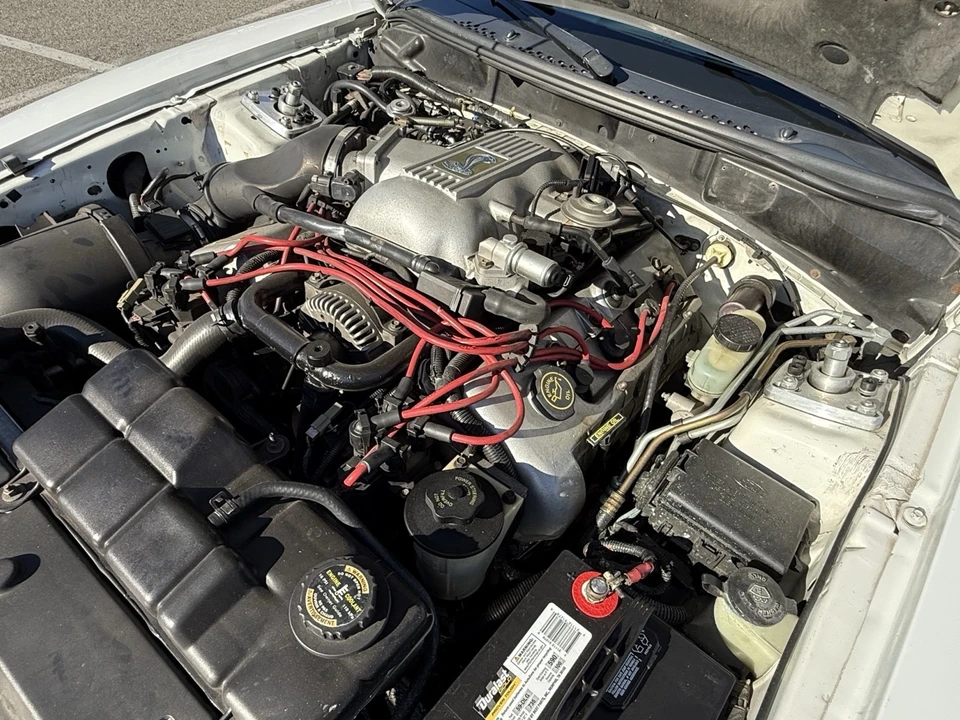 1998 Ford SN95 Mustang Cobra - Image 21 of 21