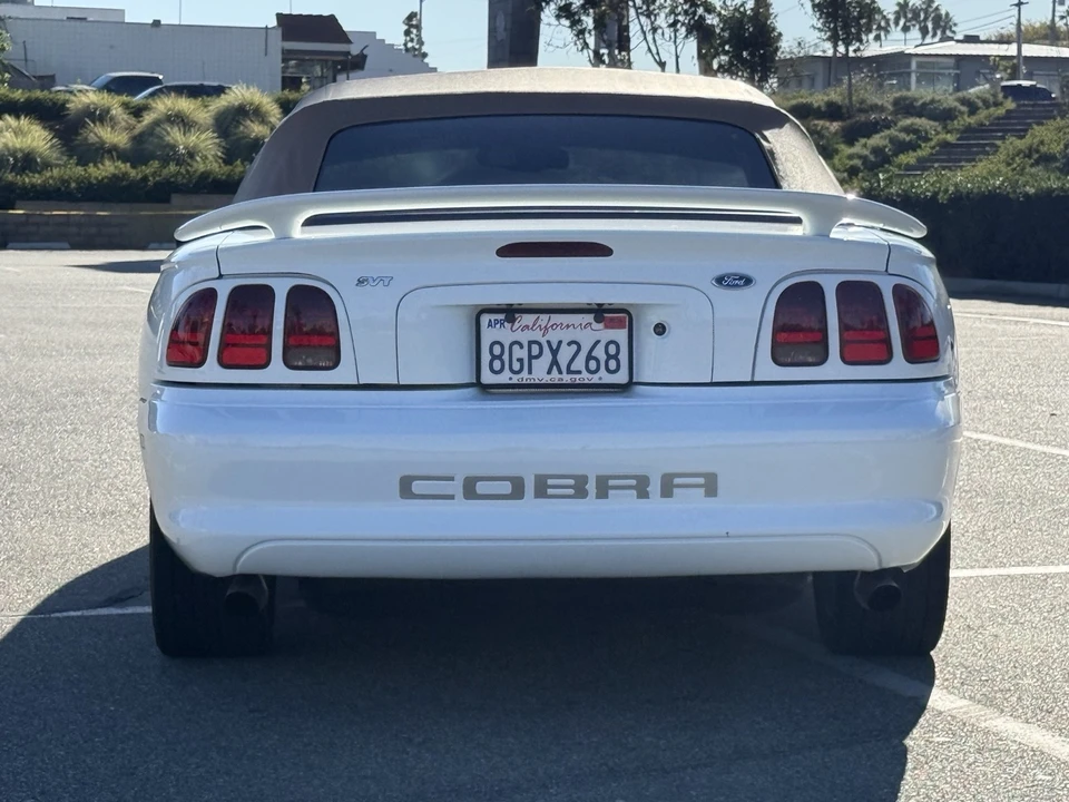 1998 Ford SN95 Mustang Cobra - Image 3 of 21