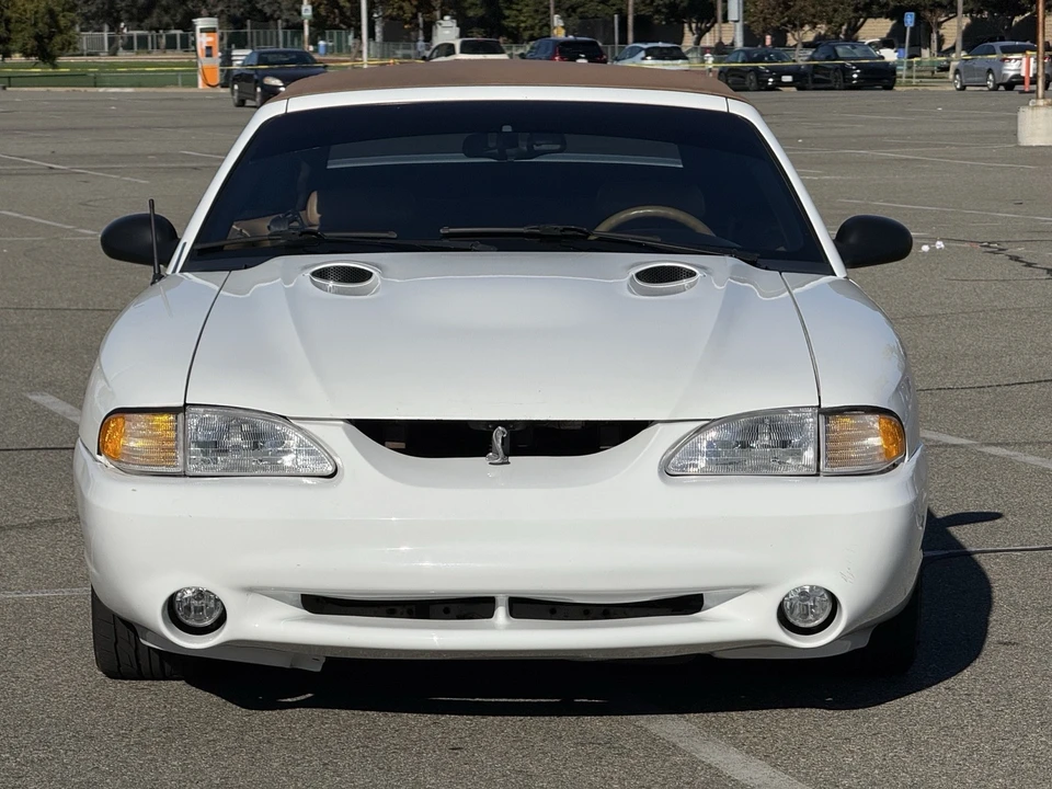 1998 Ford SN95 Mustang Cobra - Image 10 of 21
