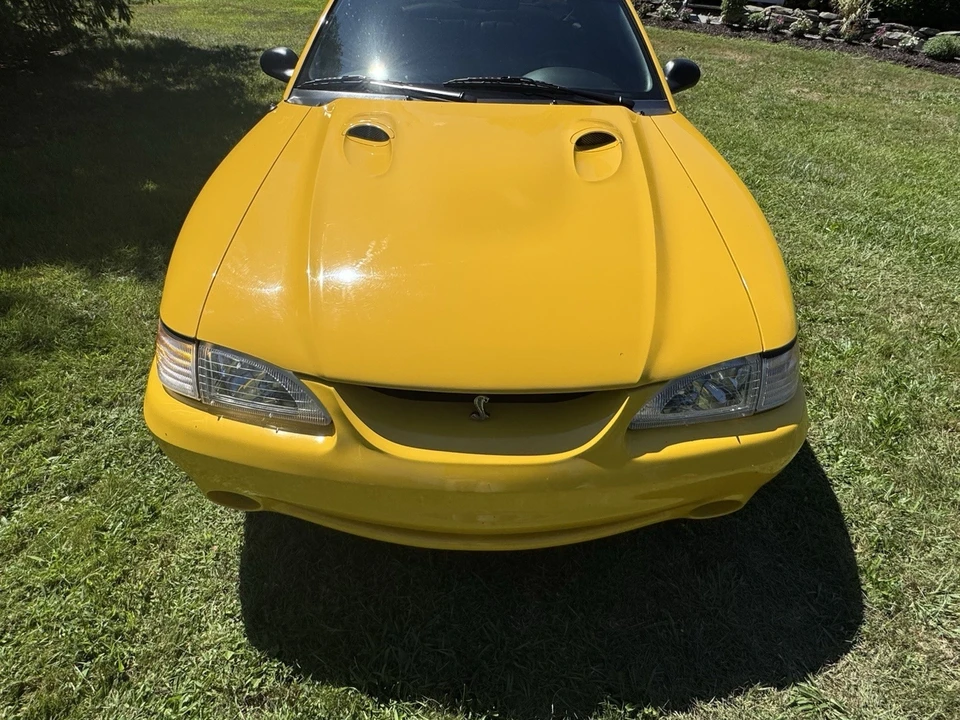1998 Ford SN95 Mustang Cobra - Image 2 of 9