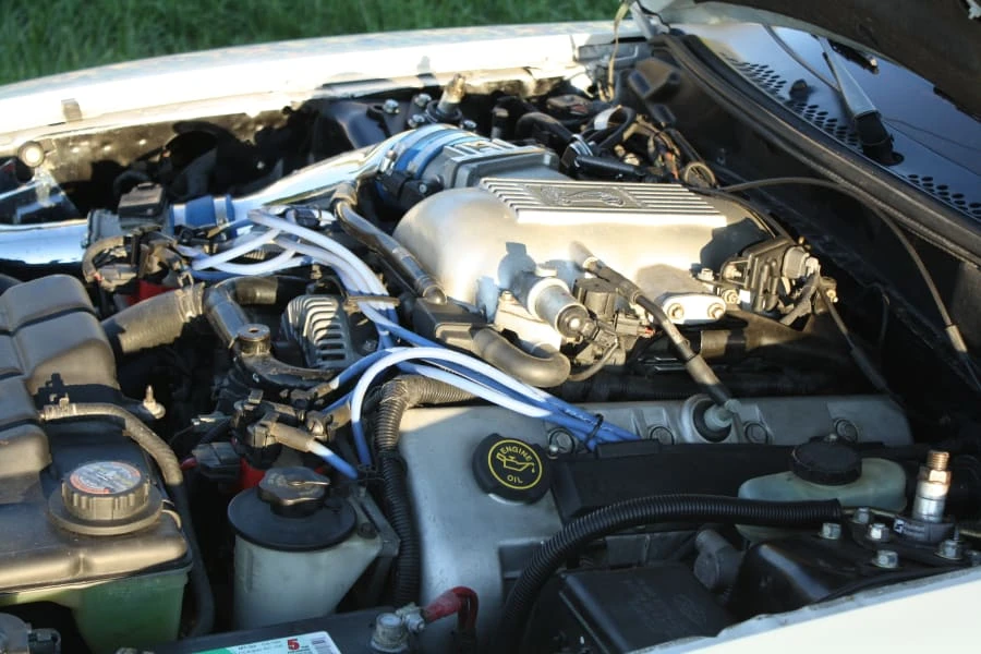 1998 Ford SN95 Mustang Cobra - Image 6 of 8