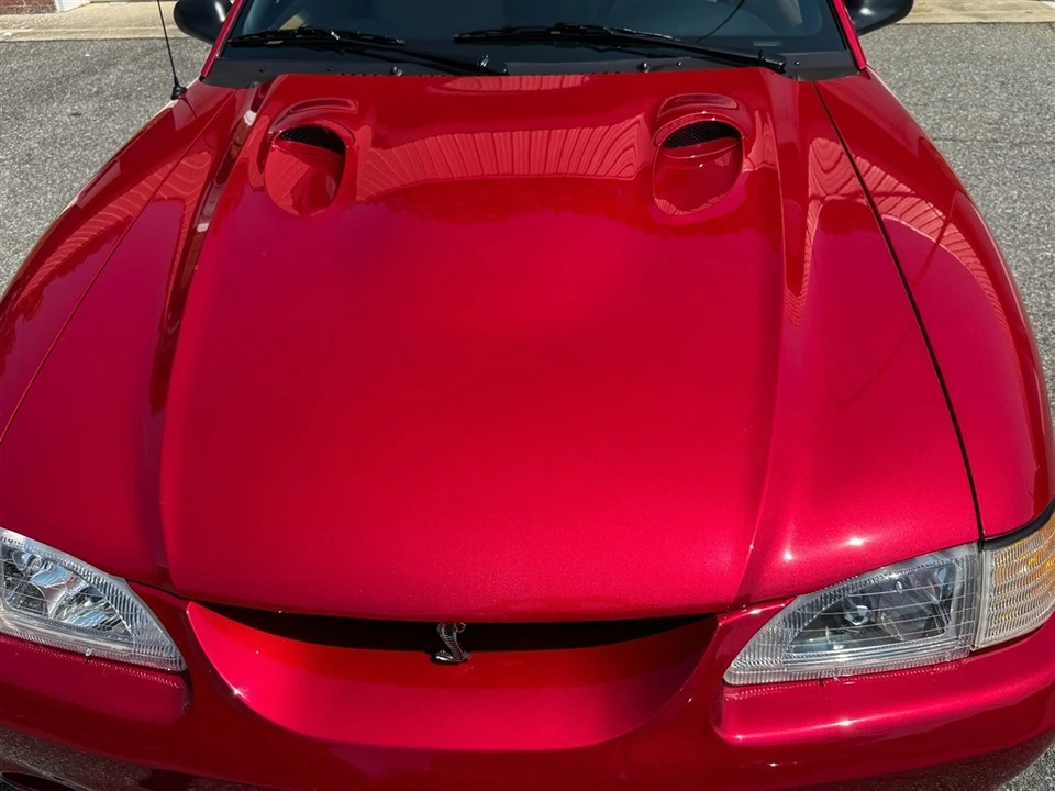 1998 Ford SN95 Mustang Cobra - Image 14 of 31