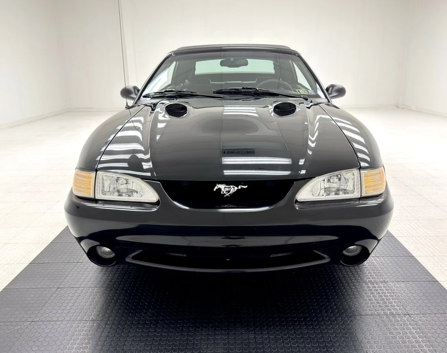 1998 Ford SN95 Mustang Cobra - Image 11 of 12