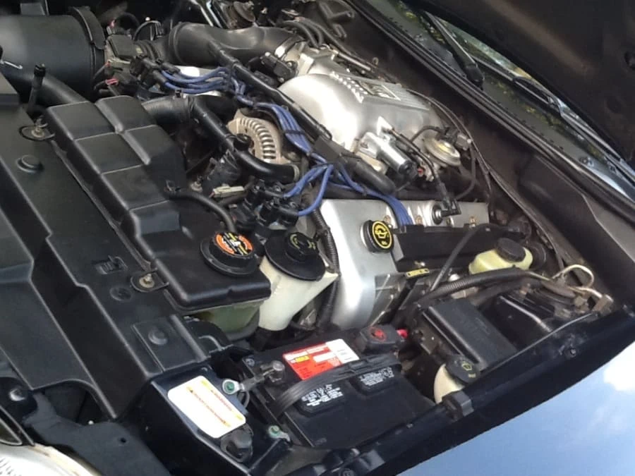 1998 Ford SN95 Mustang Cobra - Image 7 of 7