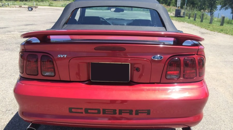 1998 Ford SN95 Mustang Cobra - Image 3 of 12