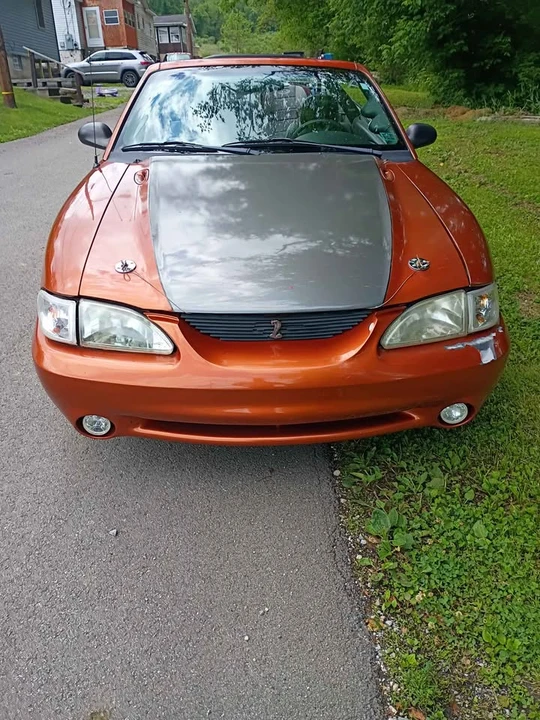 1998 Ford SN95 Mustang Cobra - Image 13 of 16