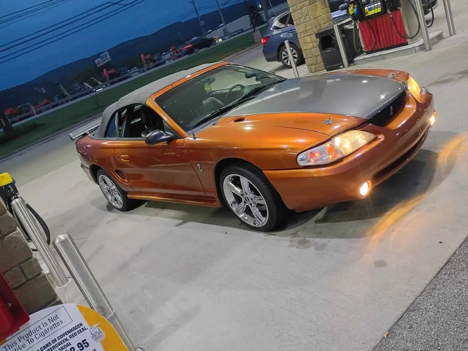 1998 Ford SN95 Mustang Cobra - Image 15 of 16