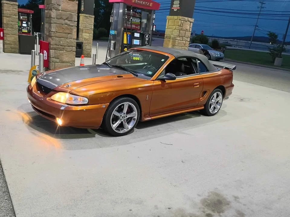 1998 Ford SN95 Mustang Cobra - Image 14 of 16