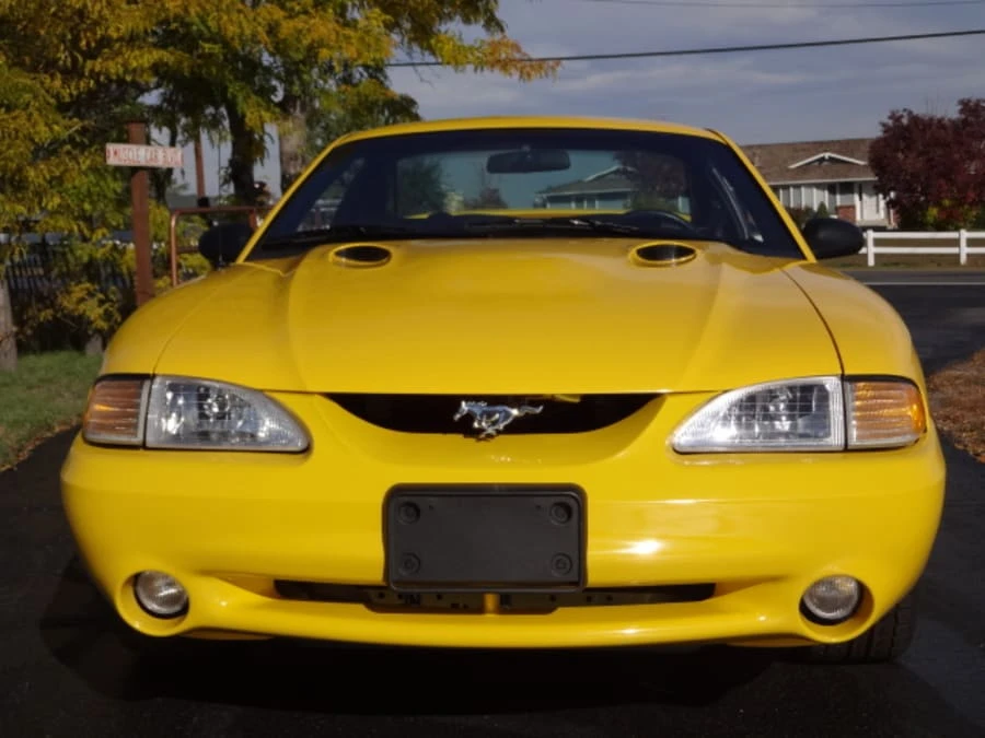 1998 Ford SN95 Mustang Cobra - Image 10 of 11