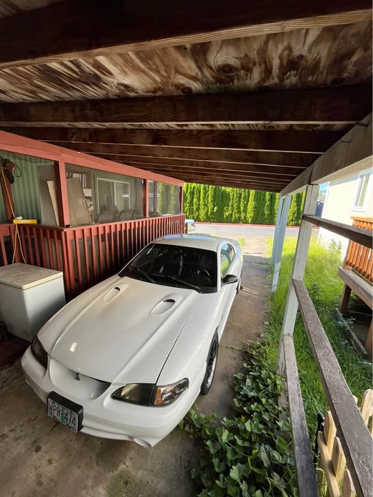 1998 Ford SN95 Mustang Cobra - Image 15 of 20
