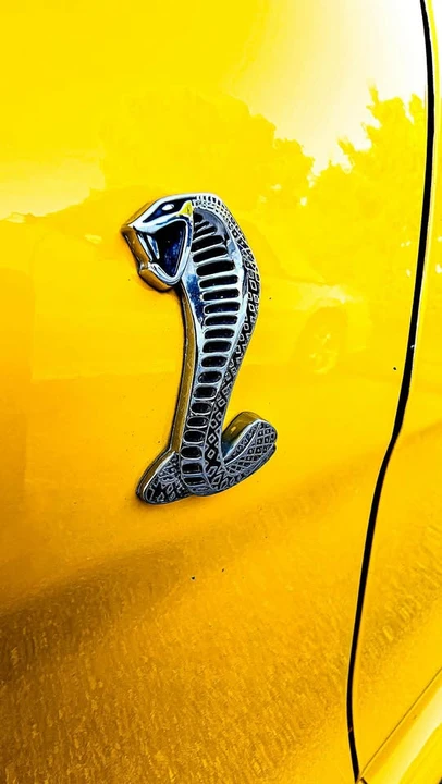 1998 Ford SN95 Mustang Cobra - Image 12 of 20