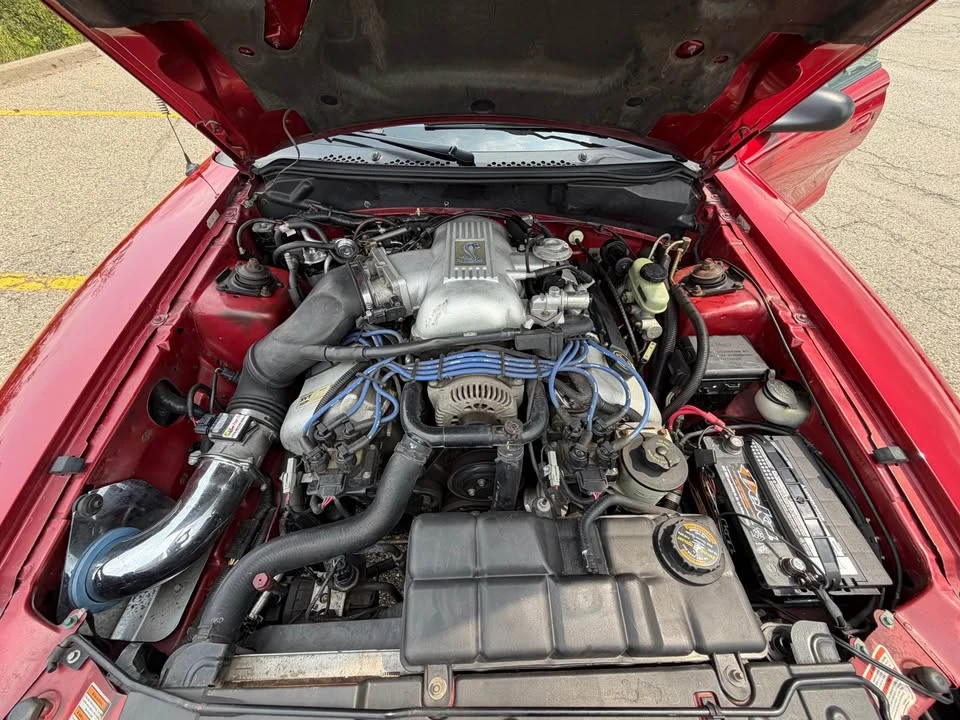 1998 Ford SN95 Mustang Cobra - Image 17 of 17