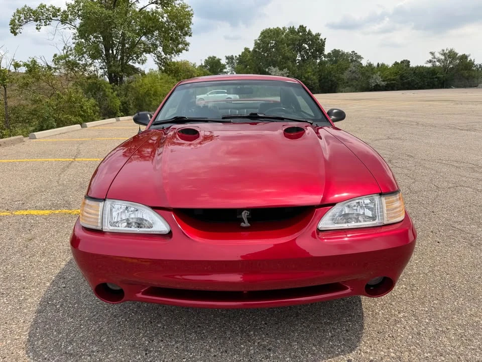 1998 Ford SN95 Mustang Cobra - Image 6 of 17