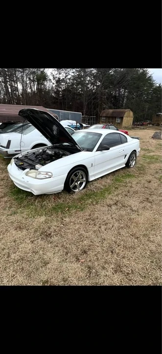 1998 Ford SN95 Mustang Cobra - Image 4 of 6