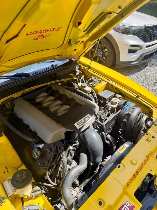 1998 Ford SN95 Mustang Cobra - Image 2 of 9