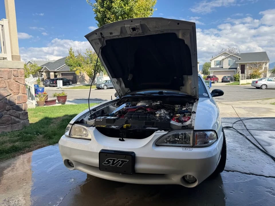 1998 Ford SN95 Mustang Cobra - Image 2 of 16