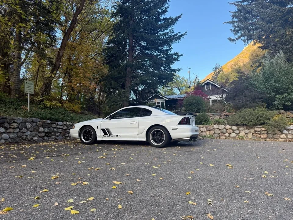1998 Ford SN95 Mustang Cobra - Image 4 of 16