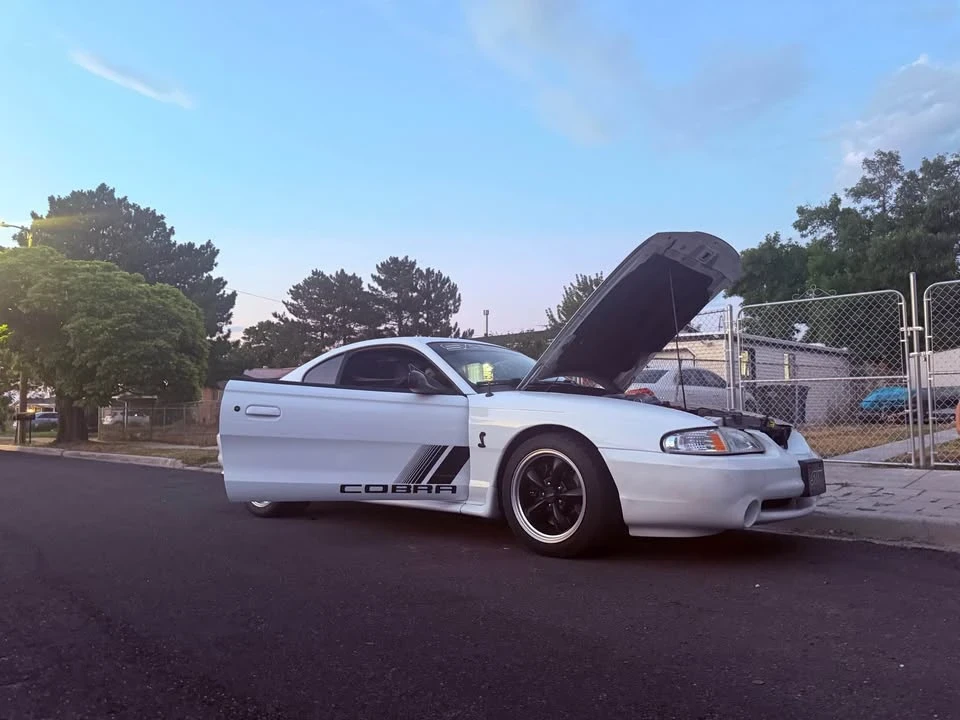 1998 Ford SN95 Mustang Cobra - Image 15 of 16