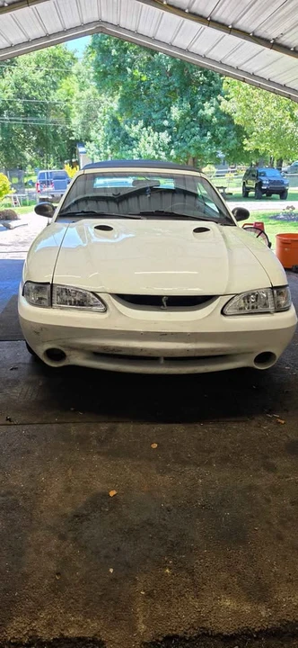 1998 Ford SN95 Mustang Cobra - Image 3 of 9