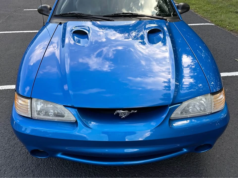 1998 Ford SN95 Mustang Cobra - Image 12 of 19