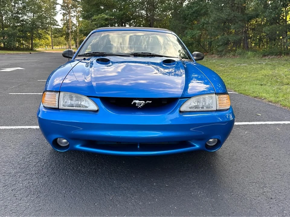 1998 Ford SN95 Mustang Cobra - Image 14 of 19