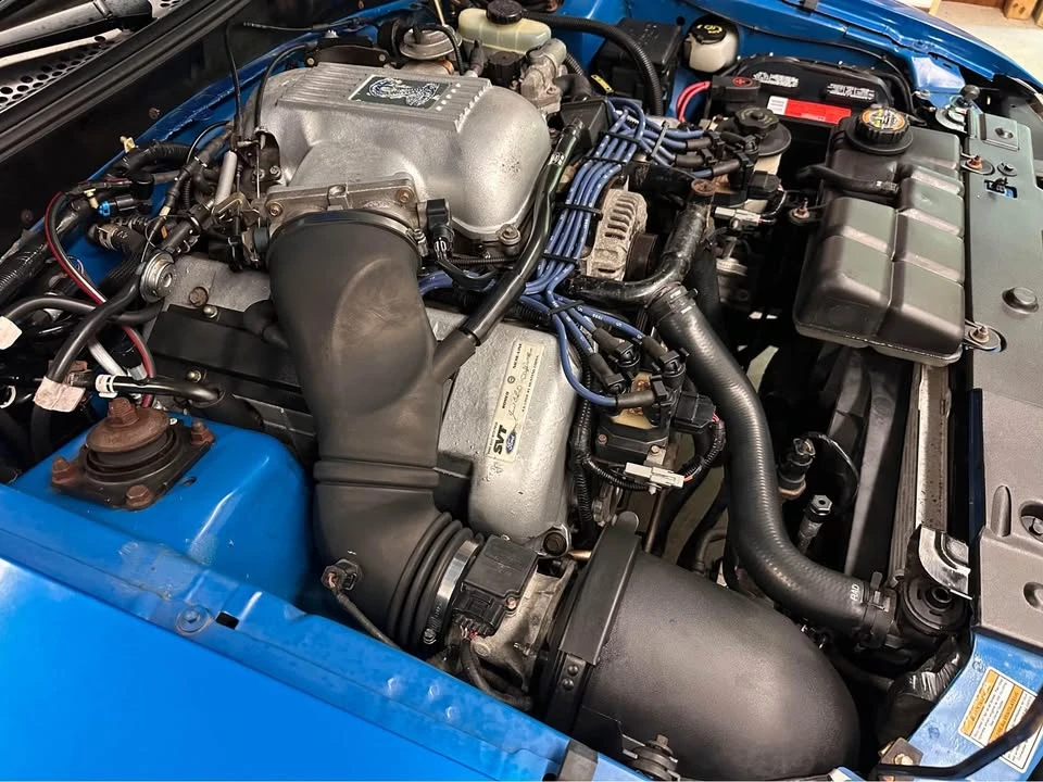 1998 Ford SN95 Mustang Cobra - Image 16 of 19