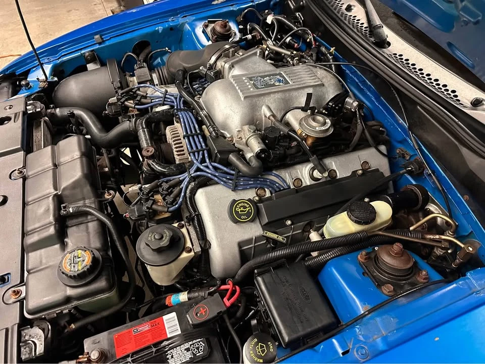 1998 Ford SN95 Mustang Cobra - Image 15 of 19