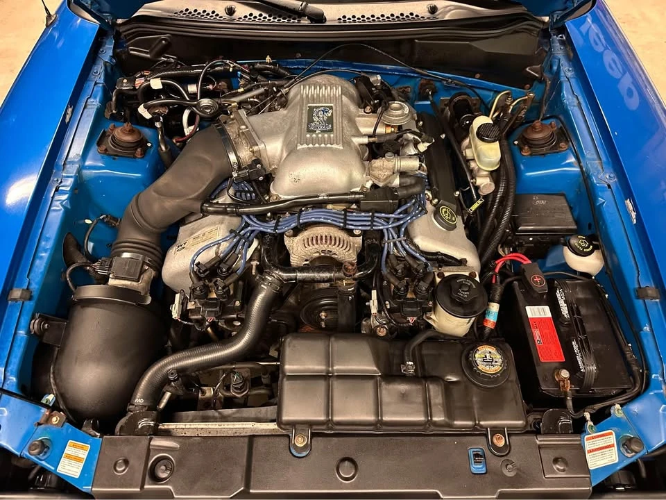 1998 Ford SN95 Mustang Cobra - Image 8 of 19