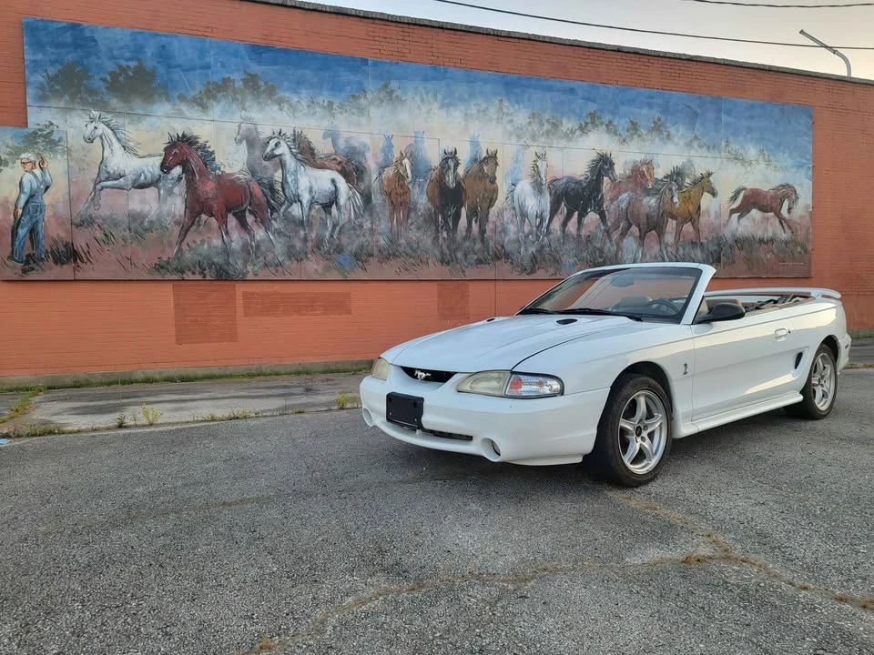 1998 Ford SN95 Mustang Cobra - Image 5 of 16