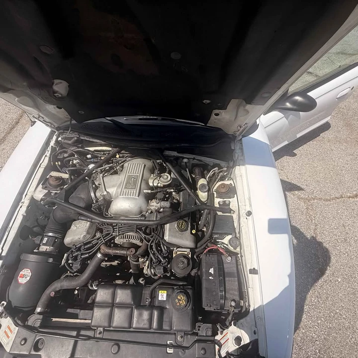 1998 Ford SN95 Mustang Cobra - Image 11 of 16