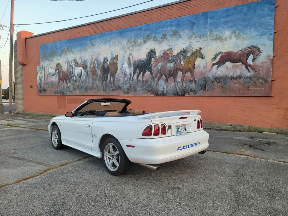 1998 Ford SN95 Mustang Cobra - Image 6 of 16