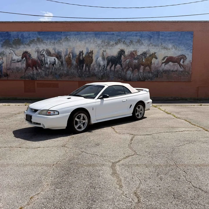 1998 Ford SN95 Mustang Cobra - Image 10 of 16