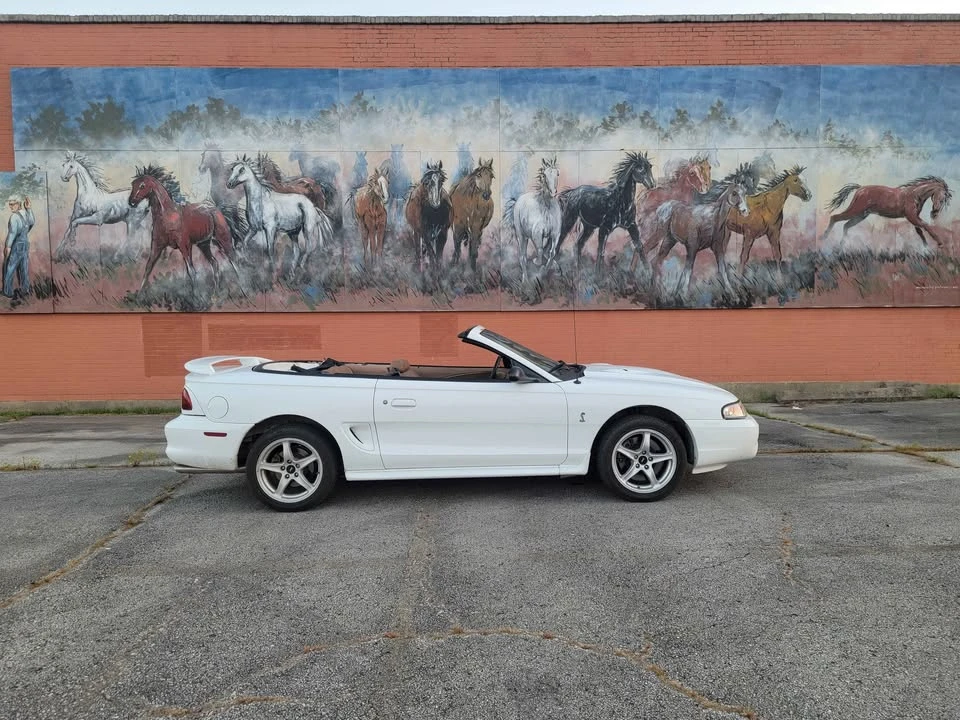 1998 Ford SN95 Mustang Cobra - Image 2 of 16