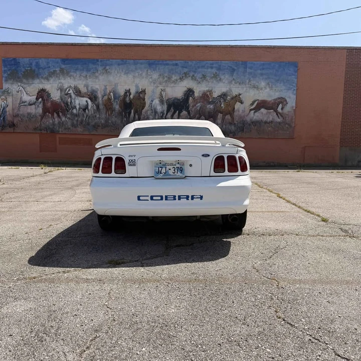1998 Ford SN95 Mustang Cobra - Image 8 of 16