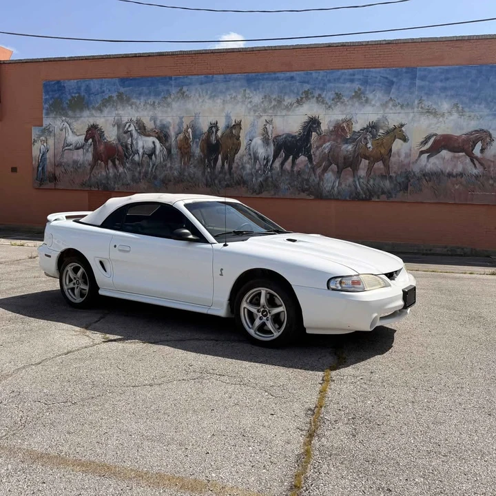 1998 Ford SN95 Mustang Cobra - Image 9 of 16