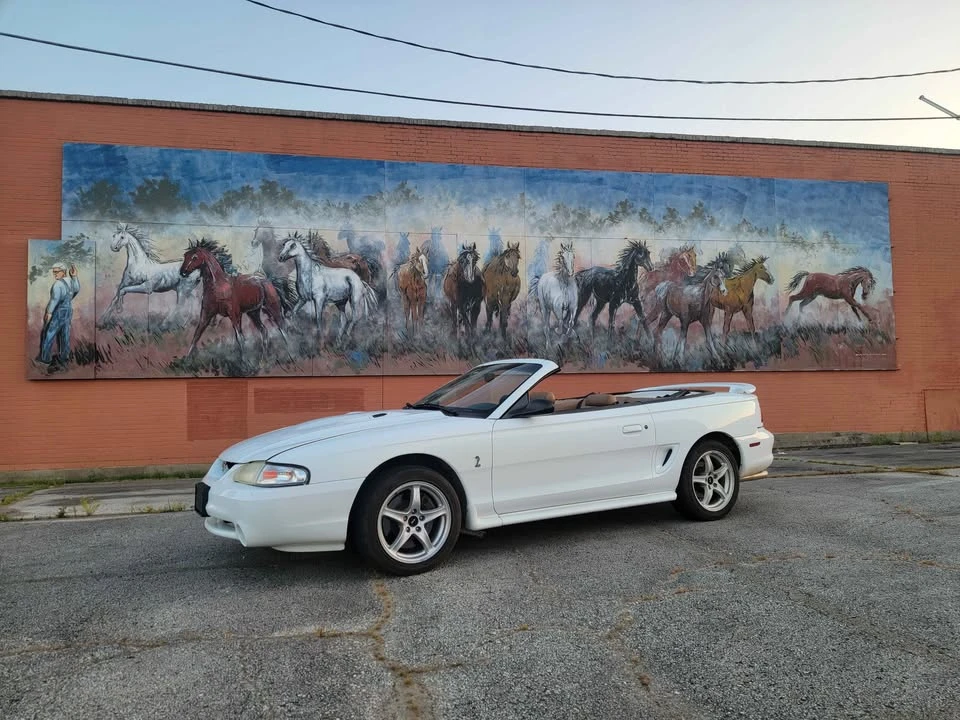 1998 Ford SN95 Mustang Cobra - Image 4 of 16