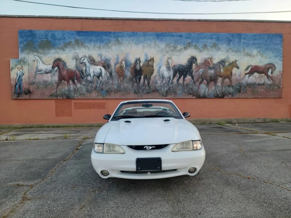 1998 Ford SN95 Mustang Cobra - Image 7 of 16
