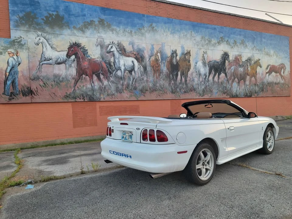 1998 Ford SN95 Mustang Cobra - Image 3 of 16