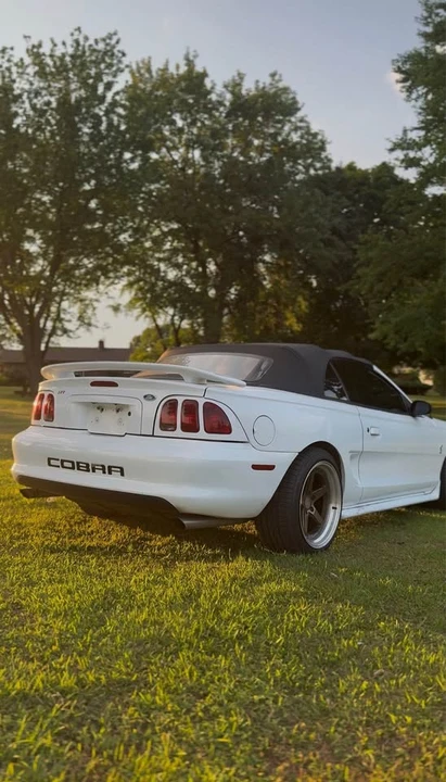1998 Ford SN95 Mustang Cobra - Image 3 of 6
