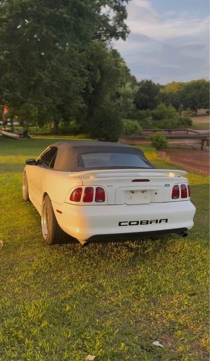 1998 Ford SN95 Mustang Cobra - Image 4 of 6