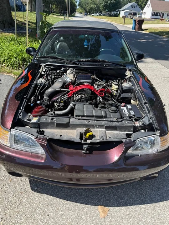 1998 Ford SN95 Mustang Cobra - Image 3 of 17