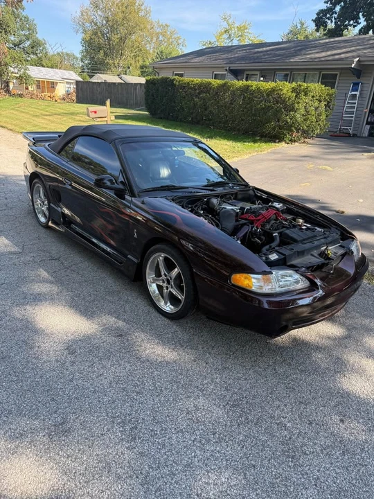 1998 Ford SN95 Mustang Cobra - Image 5 of 17