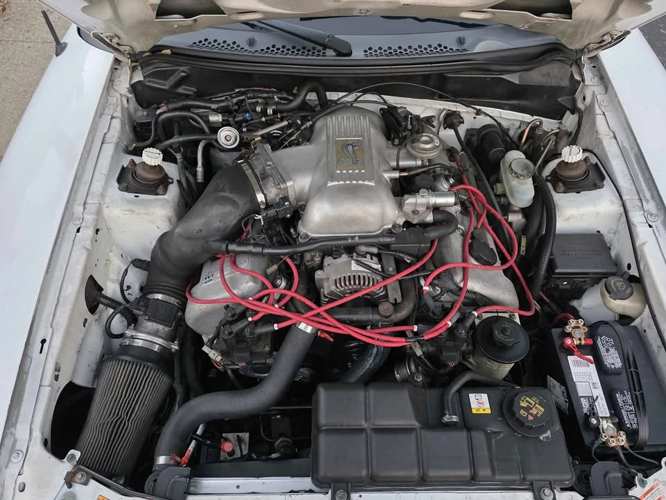 1998 Ford SN95 Mustang Cobra - Image 11 of 18