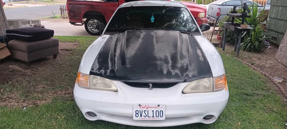 1998 Ford SN95 Mustang Cobra - Image 3 of 11