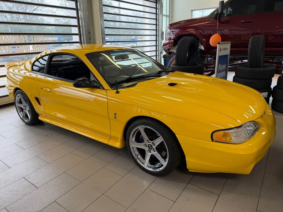 1998 Ford SN95 Mustang Cobra - Image 7 of 7