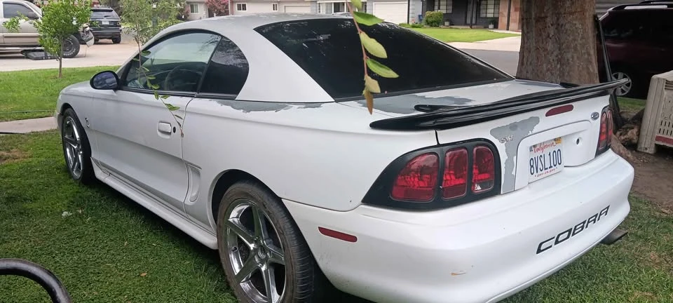 1998 Ford SN95 Mustang Cobra - Image 5 of 11