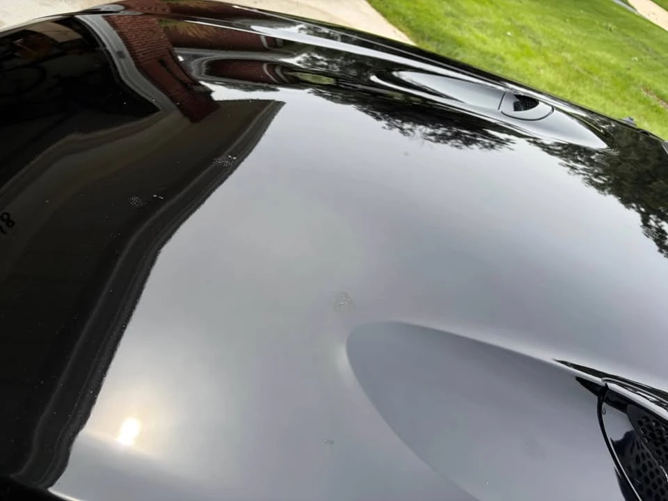 1998 Ford SN95 Mustang Cobra - Image 12 of 18