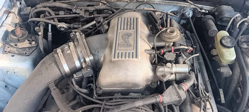 1998 Ford SN95 Mustang Cobra - Image 8 of 9