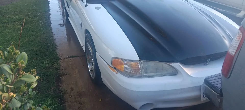 1998 Ford SN95 Mustang Cobra - Image 3 of 9