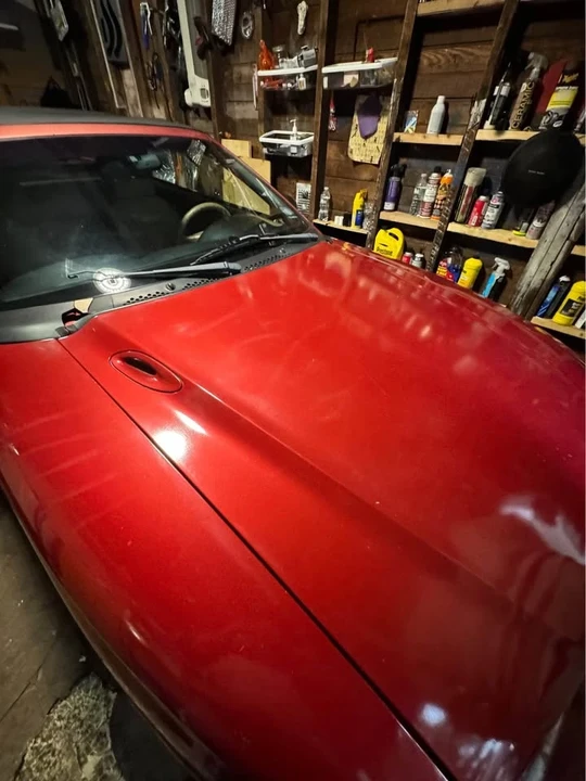 1998 Ford SN95 Mustang - Image 6 of 13